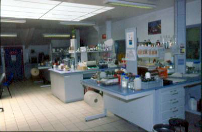 Лаборатория MOTUL